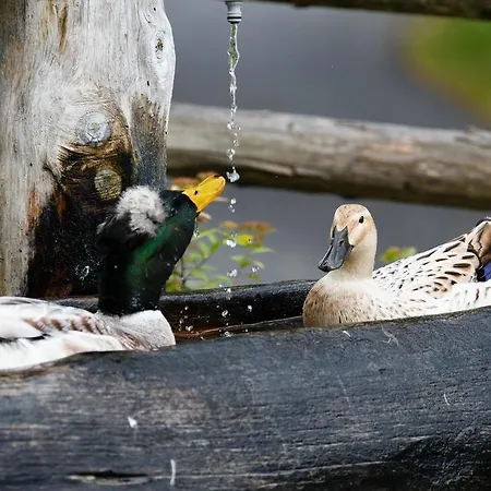 Wegscheider Apartment *