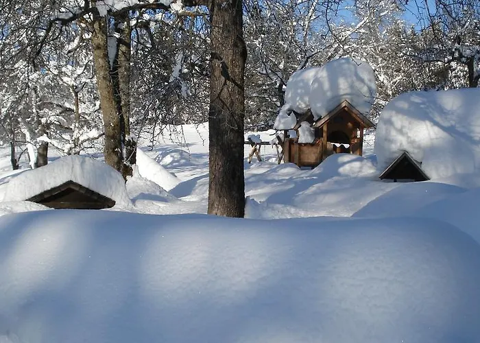 Wegscheider Apartment